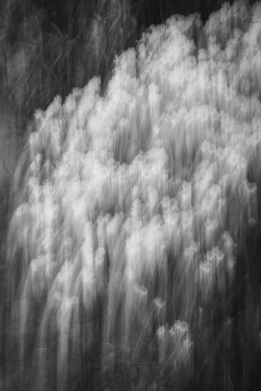Azalea Falls